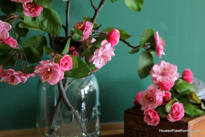 Crabapple Blossoms - House of Hawthornes