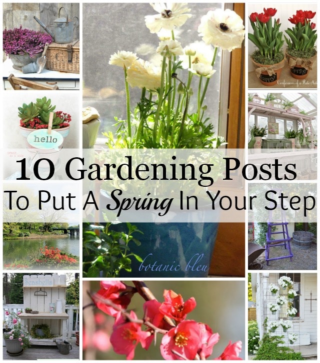 10 Gardening Ideas To Put A Spring In Your Step - House of Hawthornes