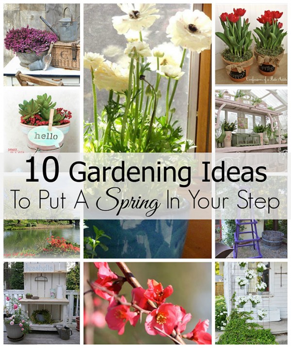 10 Gardening Tutorials To Put A Spring In Your Step - House of Hawthornes