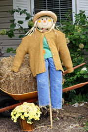 DIY Scarecrow Ideas For Fall - House of Hawthornes