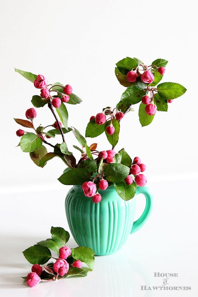 Jadeite Green And Crabapples - House of Hawthornes