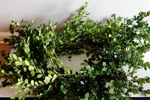 Quick & Easy Boxwood Wreath Tutorial - House of Hawthornes