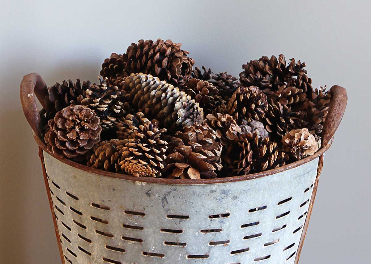 How to Make Scented Pine Cones for a Cozy Winter Home 