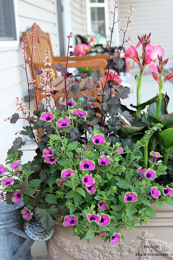 Favorite Plant Combinations For Container Gardens - House of Hawthornes