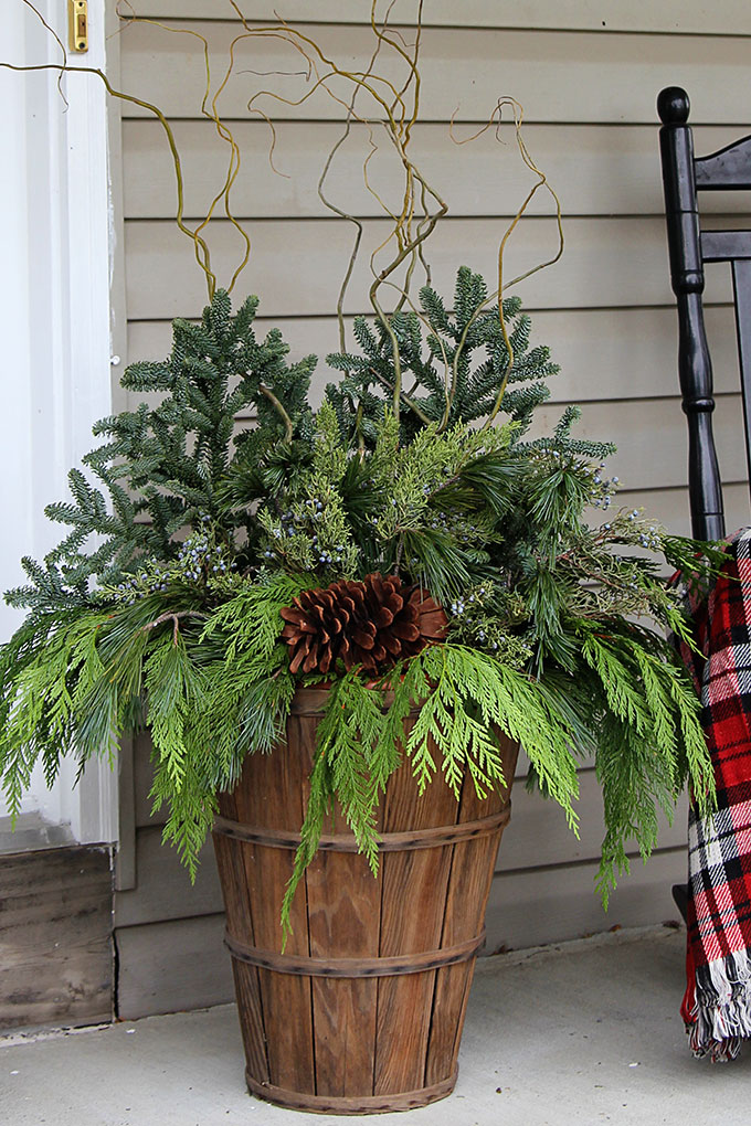 2 the Garden: How to make simple decor with pine branches 