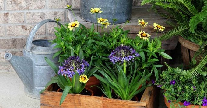 Creative Garden Containers For Your Porch - House of Hawthornes