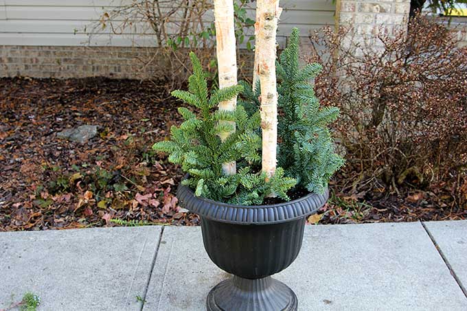 Pine and Cedar Christmas Artificial Planter Filler