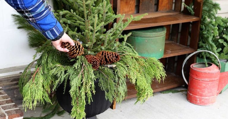 Easy Holiday Front Porch Planters - House of Hawthornes