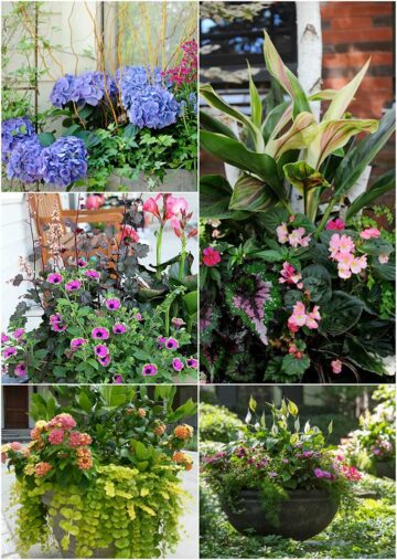 Colorful Flower Container Ideas - House of Hawthornes