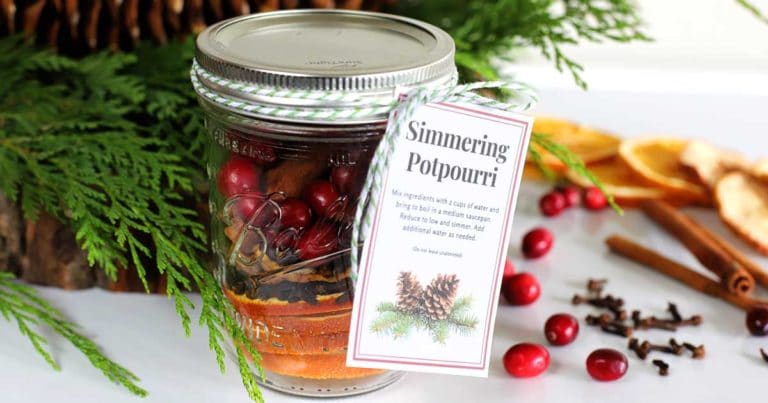 Holiday Stovetop Potpourri (with Printable Gift Tags!) - My Baking Addiction