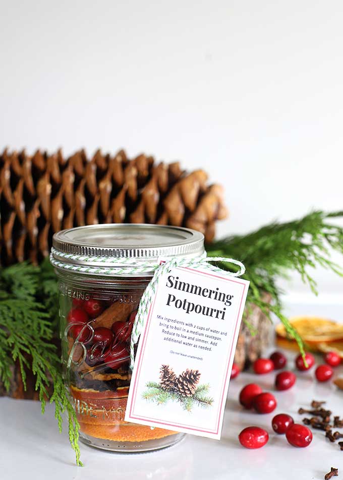 DIY Simmering Potpourri Gift And Printable Tag - House of Hawthornes