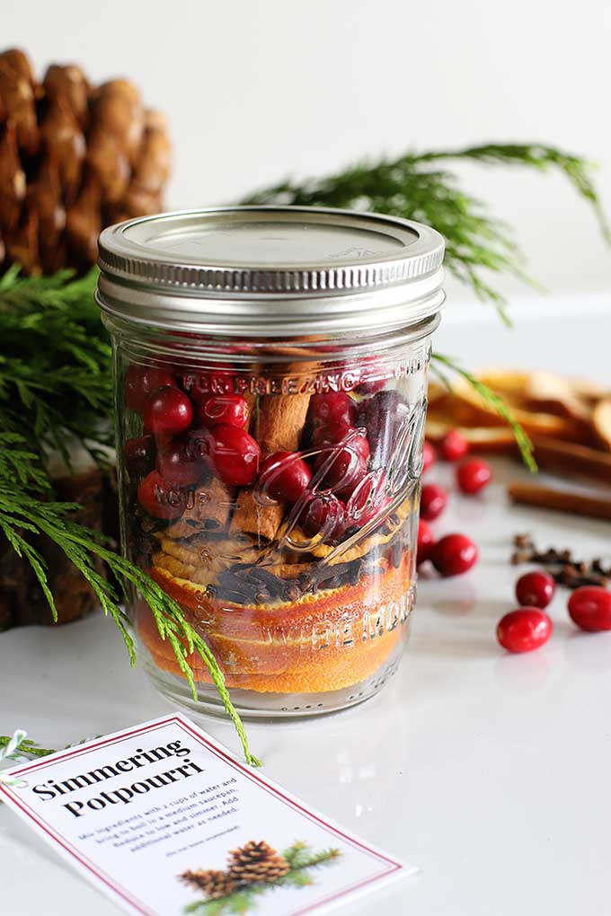 DIY Simmering Potpourri Gift And Printable Tag - House of Hawthornes