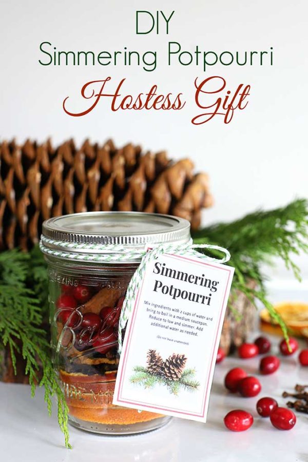 DIY Simmering Potpourri Gift And Printable Tag House of Hawthornes