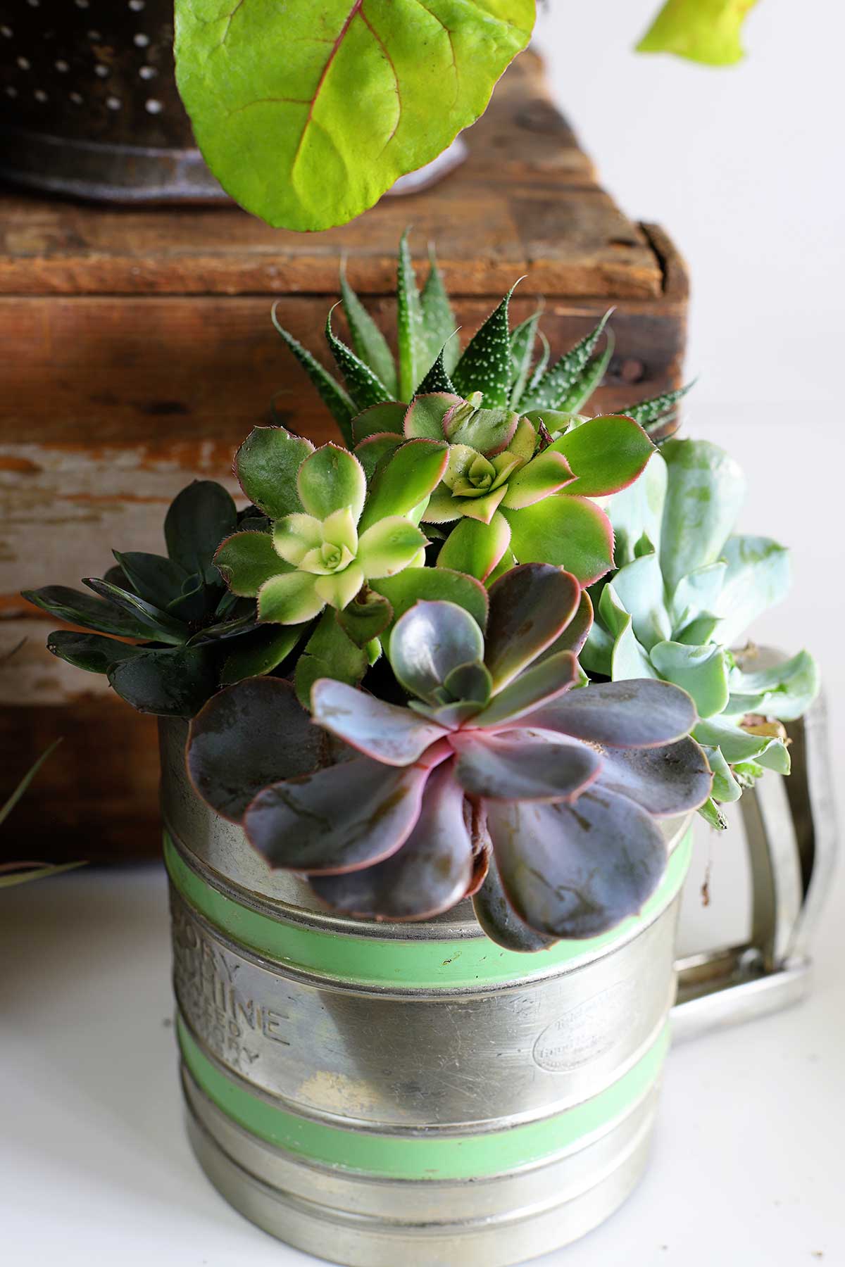 https://www.houseofhawthornes.com/wp-content/uploads/2020/05/flour-sifter-repurposed-planter-9421.jpg