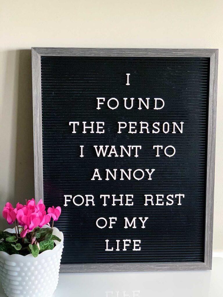 Funny Valentine Quotes For Instagram & Letter Boards