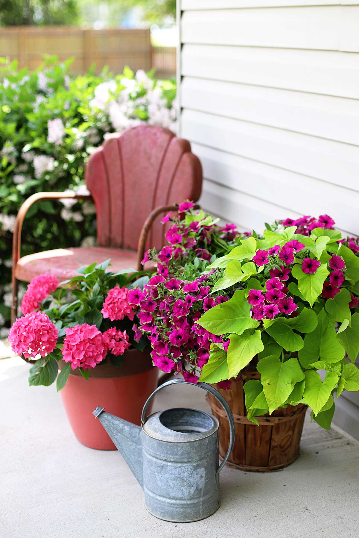How to Create Beautiful Tropical Planters and Container Gardens