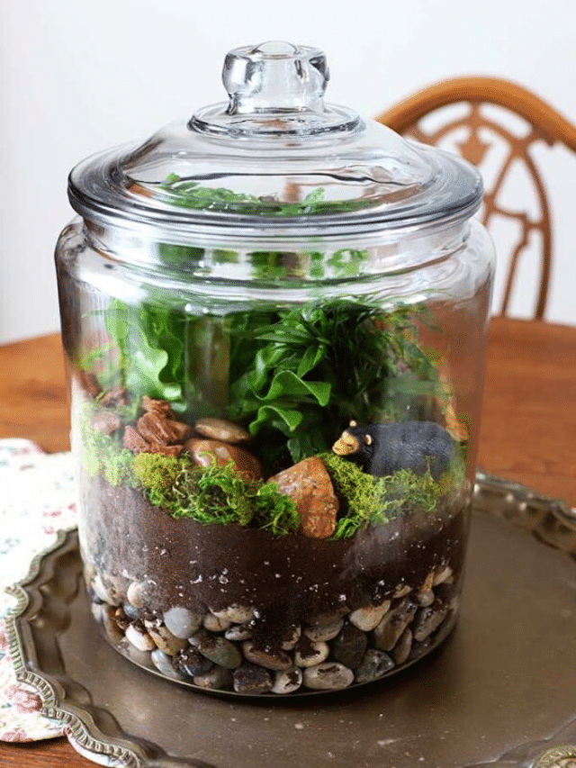 DIY TERRARIUM: A WOODLAND VERSION story