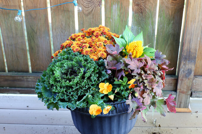 Beginner Friendly Fall Porch Planter - Step By Step Directions