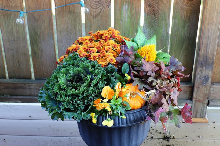 Beginner Friendly Fall Porch Planter - Step By Step Directions