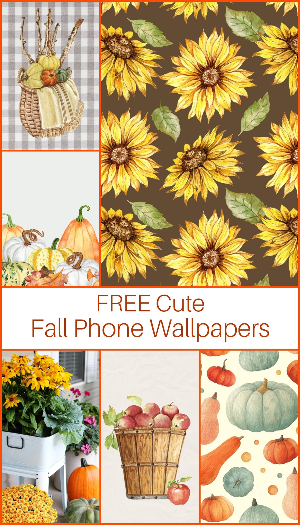 Cute fall graphic  Iphone wallpaper fall, Cute fall wallpaper