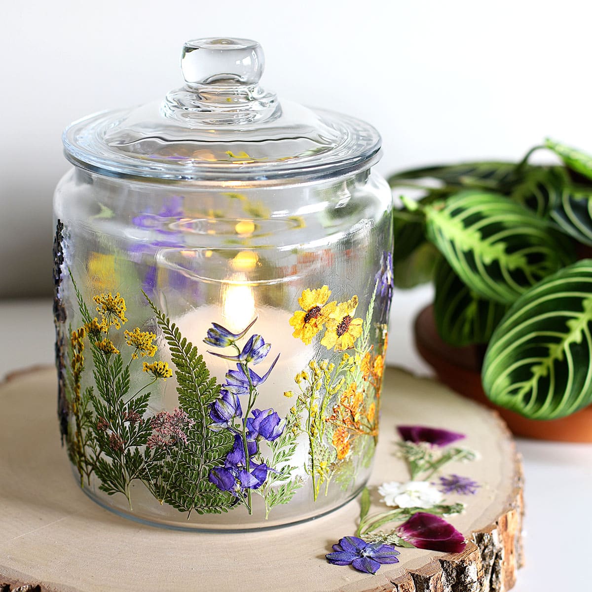 Easy Pressed Flower Craft  DIY Decorative Glass Jar - House of Hawthornes